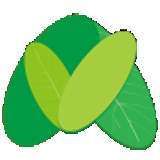 真幸福服务员端