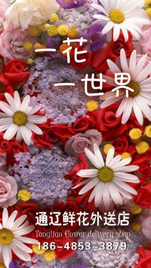 通辽鲜花0