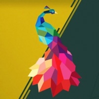 Nature Polyrollios版