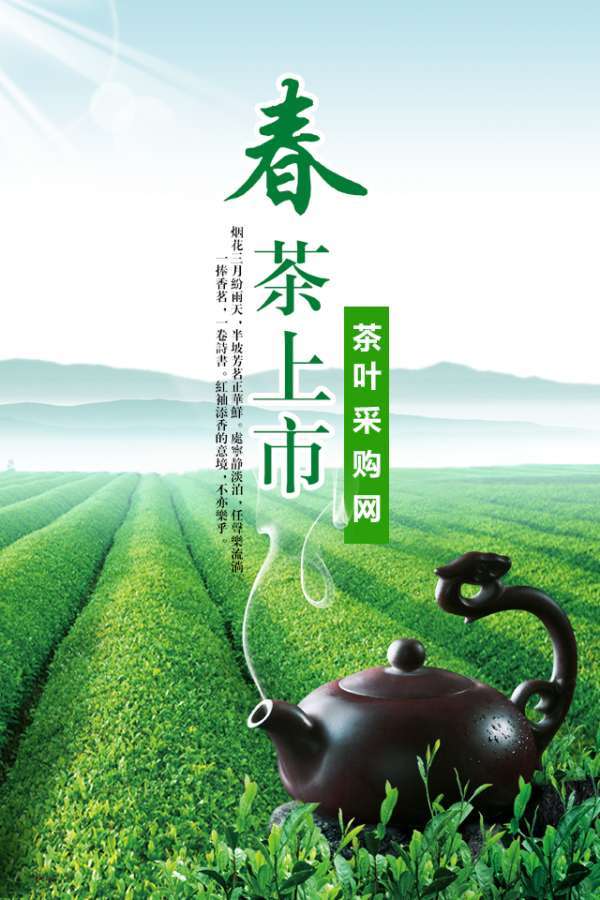 茶叶采购网0