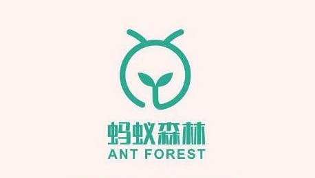 支付宝蚂蚁森林动物保护活动怎么玩