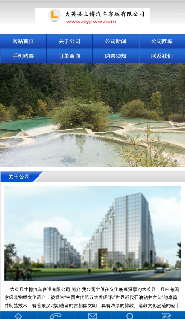 大英汽车票务网4