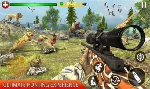 死亡僵尸边境射击游戏官方中文版（Shooting Strike）1