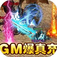 斗转武林-GM爆真充