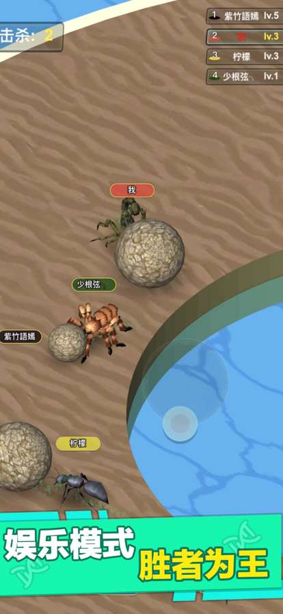 昆虫进化大乱斗ios版11