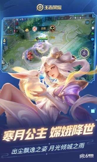 王者荣耀兽兽美化包0