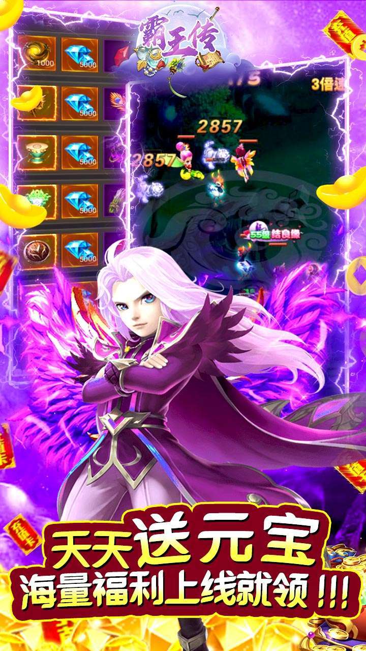 霸王传(送红色侠客)4