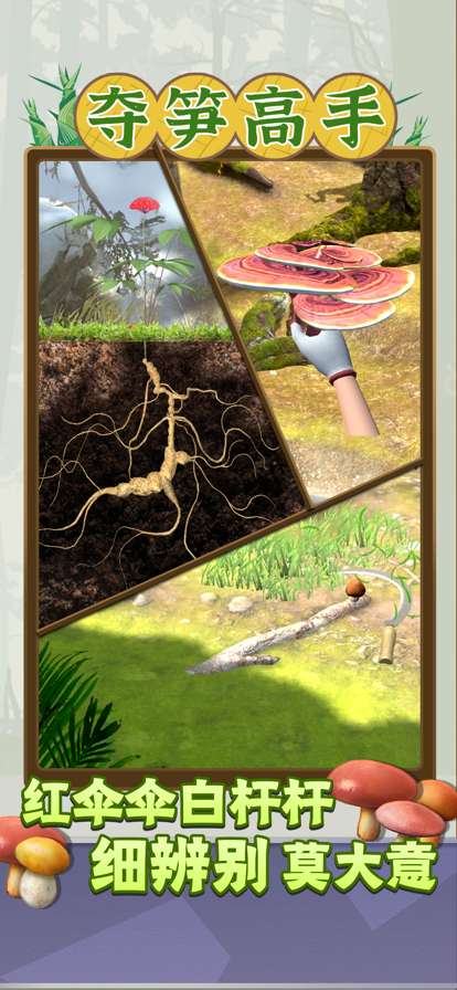 夺笋高手ios版0