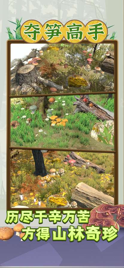 夺笋高手ios版4
