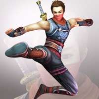 Wolf Of Assassins Liteios版