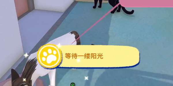 小猫咪大城市【等待一缕阳光】成就达成步骤分享