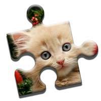 Lovely Kittens Puzzleios版