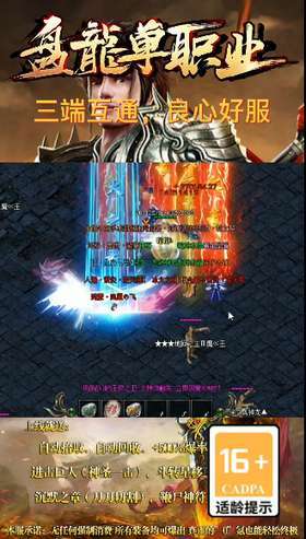 盘龙单职业最新版2