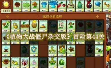 《植物大战僵尸杂交版》冒险第44关怎么过