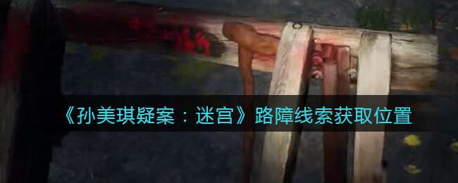 《孙美琪疑案：迷宫》五级线索——路障