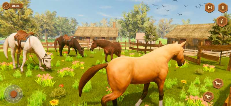 我的荒野马骑术故事ios版4