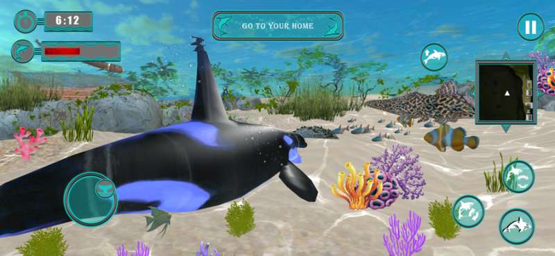 Killer Whale Orca Simulatorios版1