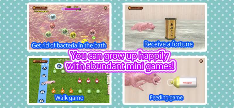 Newborn pandaios版2