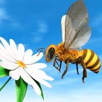 蜂蜜 蜜蜂ios版