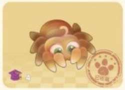 摩尔庄园水蜘蛛在哪钓 摩尔庄园水蜘蛛钓鱼攻略