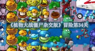 《植物大战僵尸杂交版》冒险第34关怎么过关