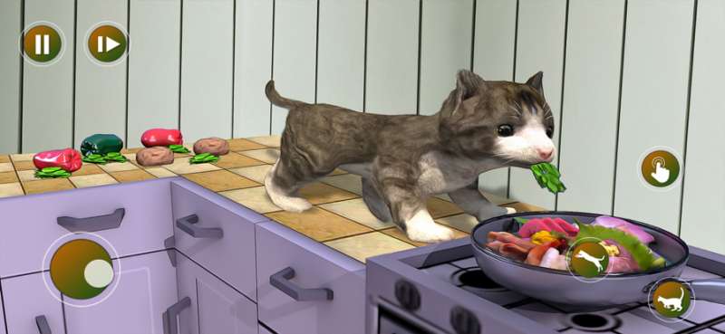 农场猫模拟器可爱的小猫ios版3