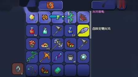 泰拉瑞亚什么照明宠物最好