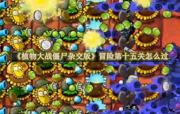 《植物大战僵尸杂交版》冒险第十五关怎么过