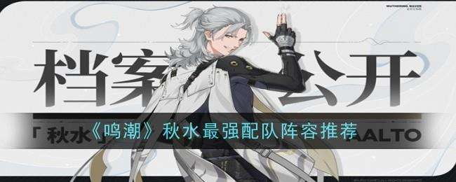 鸣潮秋水怎么配队