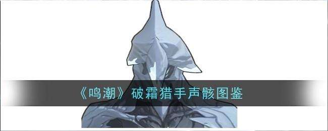 鸣潮破霜猎手声骸图鉴