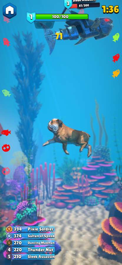 Hungry Fish.ioios版4