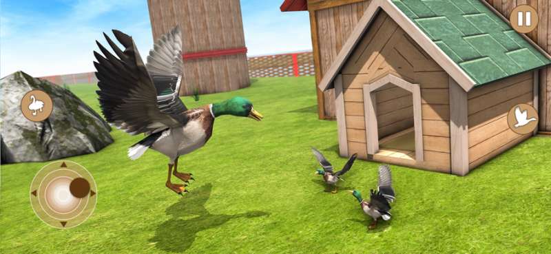 真正的鸭子生活模拟器 3Dios版0