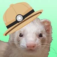 GOGO!!Ferret Explorerios版
