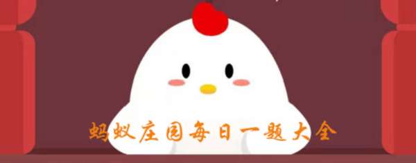 猜一猜:我们平时吃的菠萝是长在 A 、地上 B 、树上