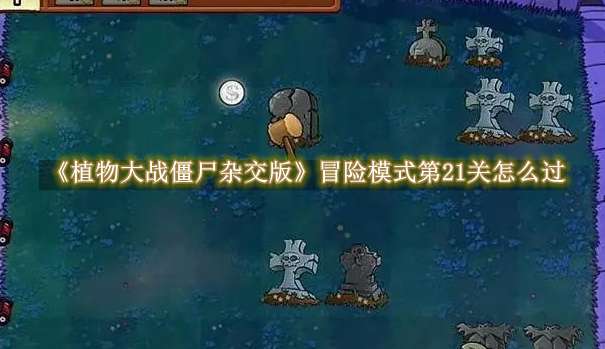 《植物大战僵尸杂交版》冒险模式第21关怎么过