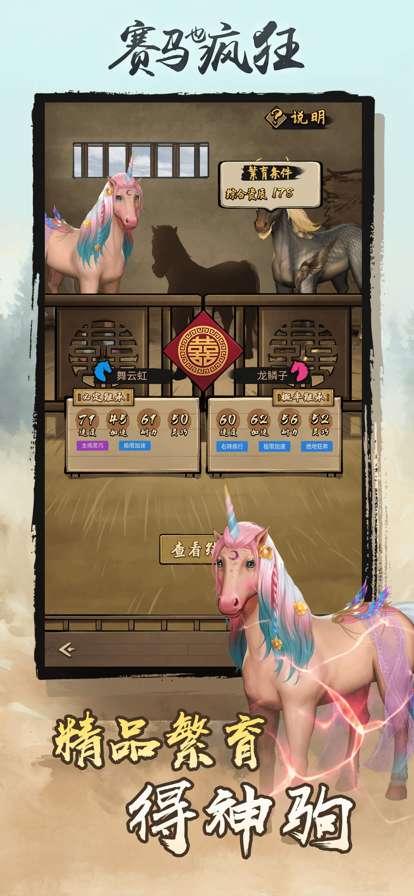 赛马也疯狂ios版2