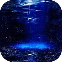 杯莫停(删档内测)