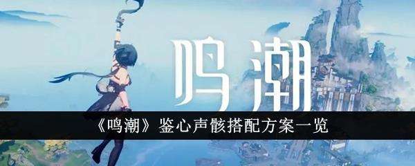鸣潮鉴心声骸搭配方案一览