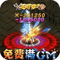 龙之觉醒(免费GM特权)