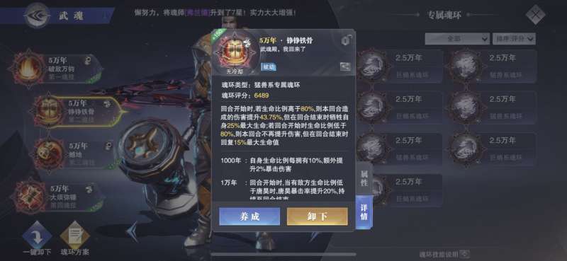 斗罗大陆魂师对决唐昊升星用什么