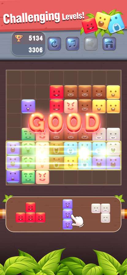 BT Block Puzzleios版4