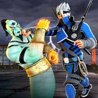 Final 3D战斗：空手道游戏ios版