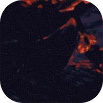 仙魔战场(送刷充红包)