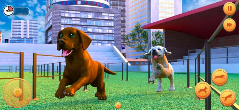 怀孕的宠物狗模拟器 3dios版1