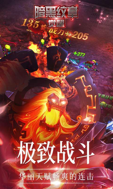 暗黑纹章觉醒(36D勇士)3