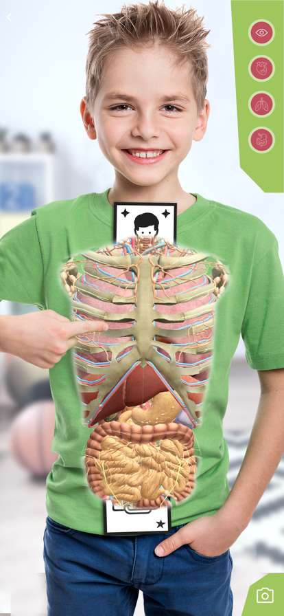 Anatomia Superios版0