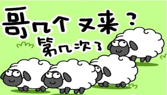 羊了个羊1月29日攻略 羊了个羊今日通关攻略一览