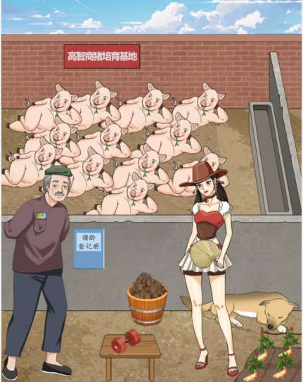 整个活吧买种猪帮老伯买一头满意的种猪怎么过关