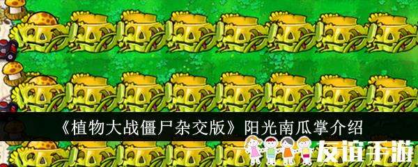 植物大战僵尸杂交版阳光南瓜掌介绍