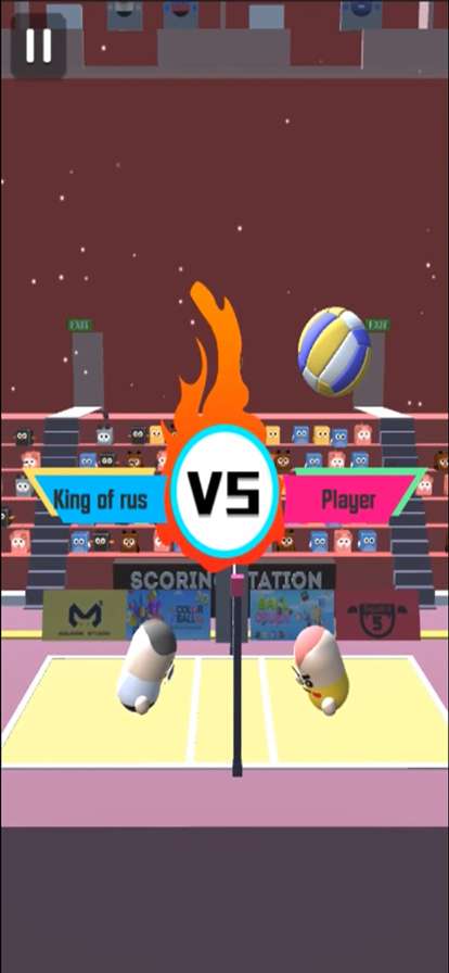 VolleyBall Tap 3Dios版0